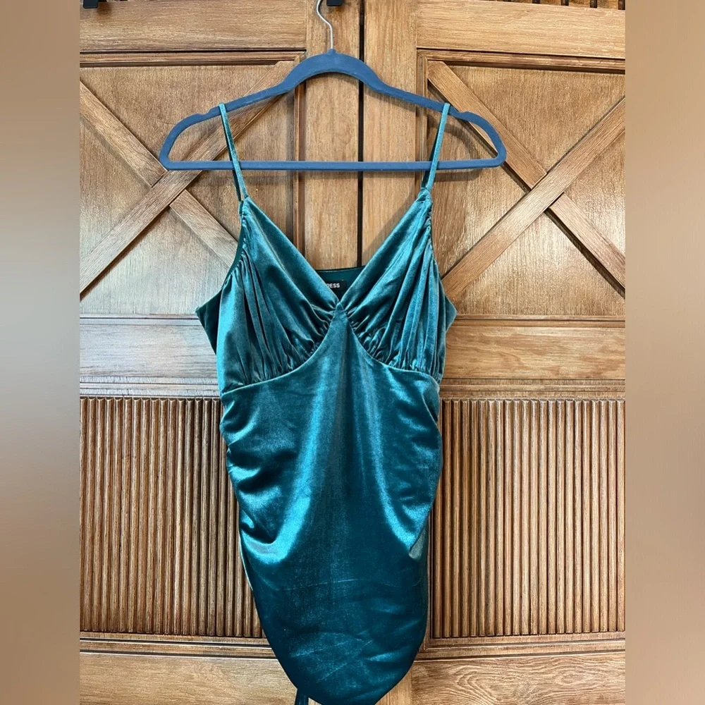 Express bodysuit - Picture 1 of 1